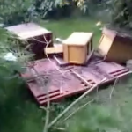 zerstörte Bienenstöcke