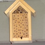 Mauerbienen am Bienenhotel (Foto: DoSchu)